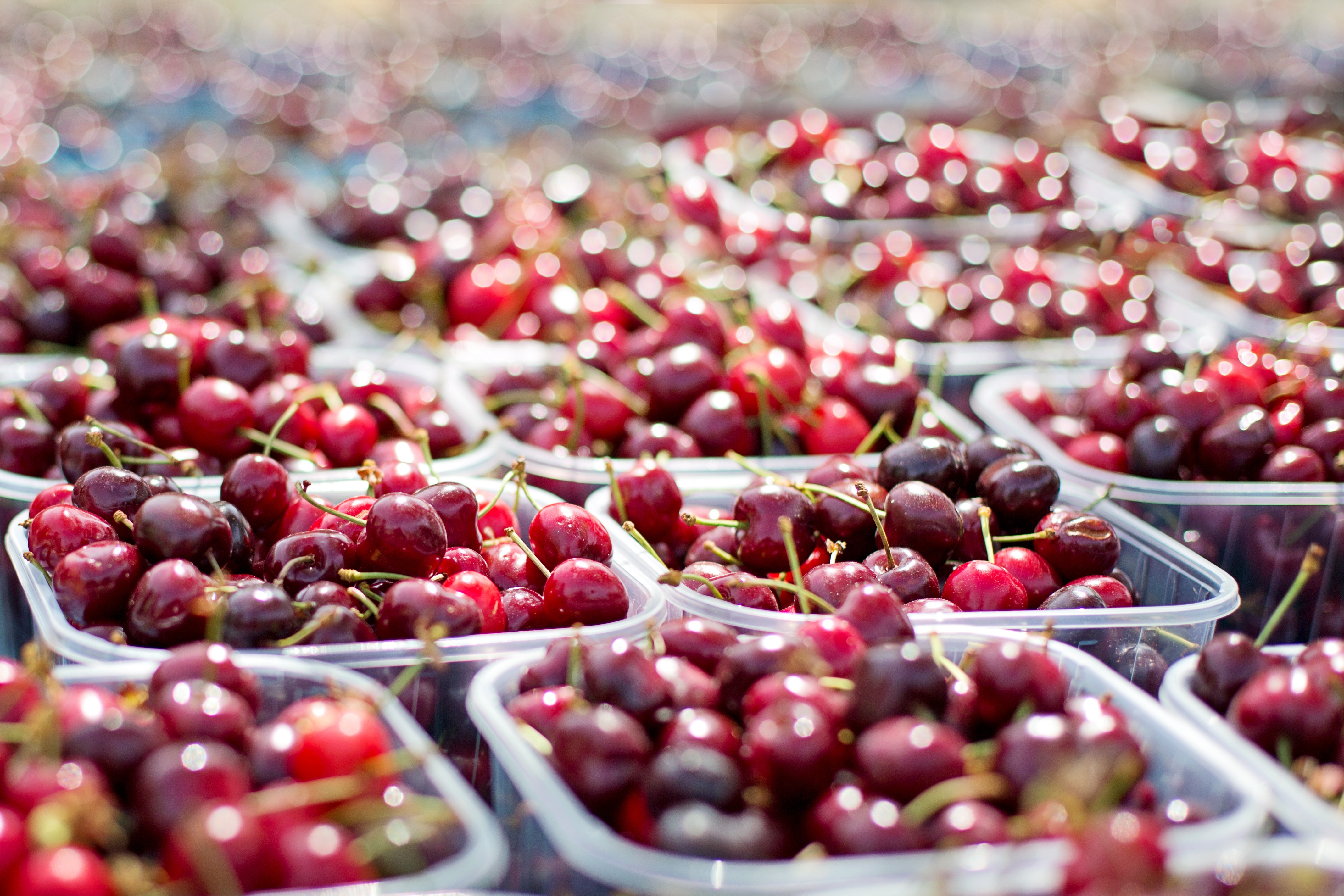 NFUF Launching Needs Assessment Survey to Inform Food Safety