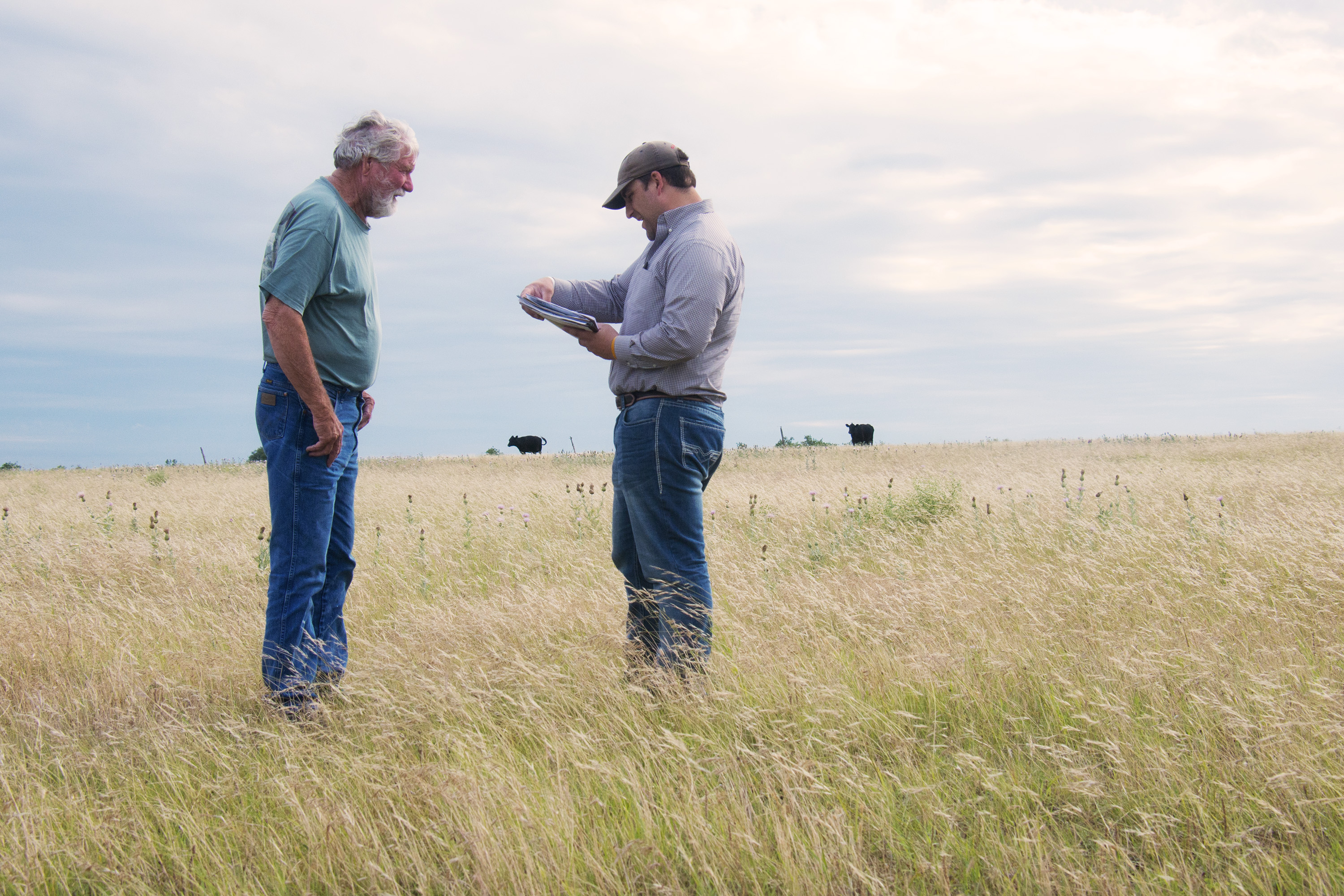 Leading Farm, Conservation, and Wildlife Groups Unite in Support of Protecting Conservation Funding