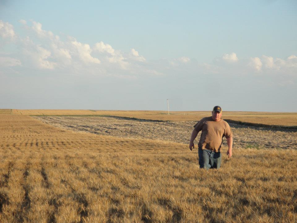 Confronting Consolidation: How Congress Proposes to Fight Mergers in Ag