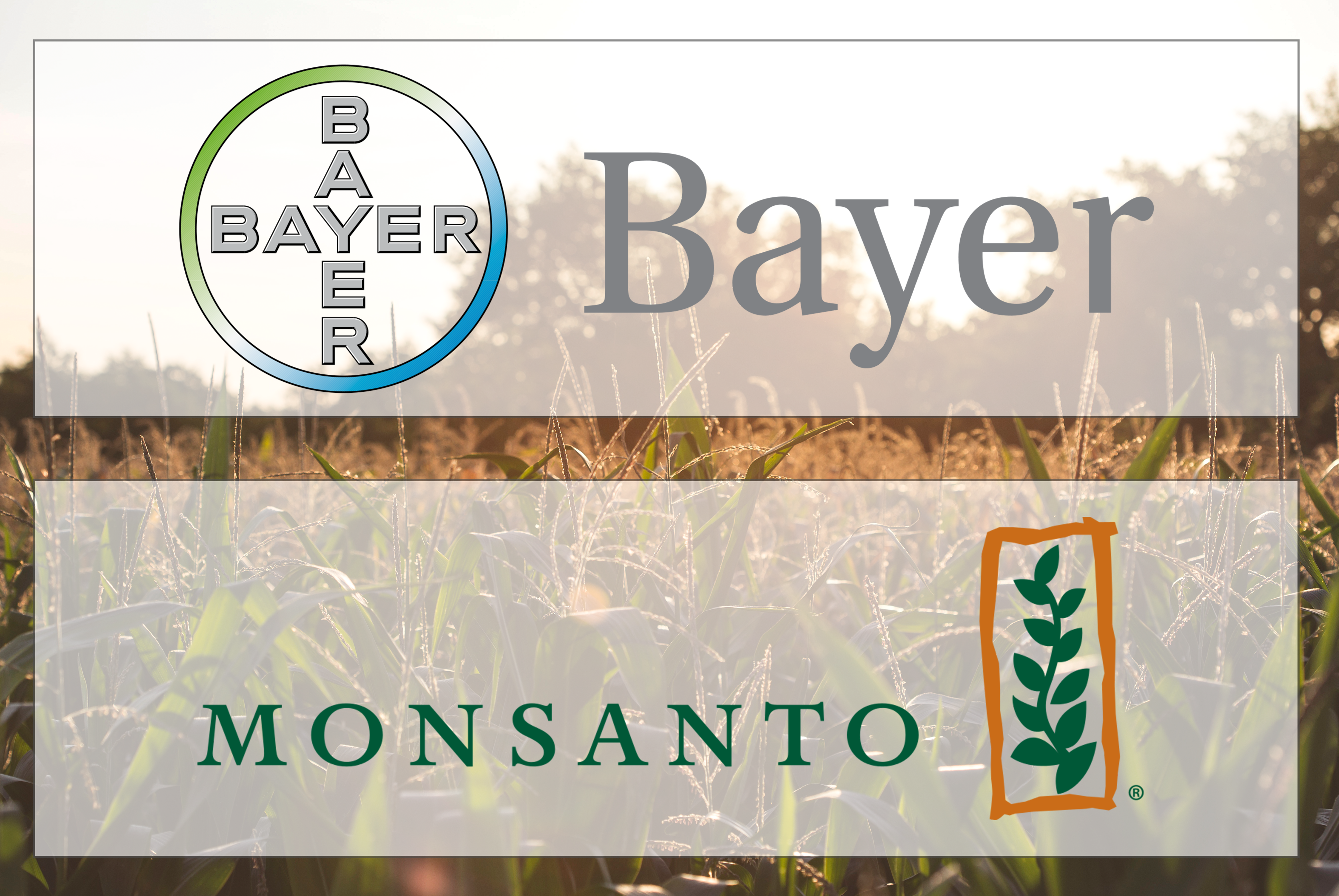 NFU Condemns DOJ Approval of Monsanto Acquisition by Bayer NFU Condemns DOJ Approval of Monsanto Acquisition by Bayer