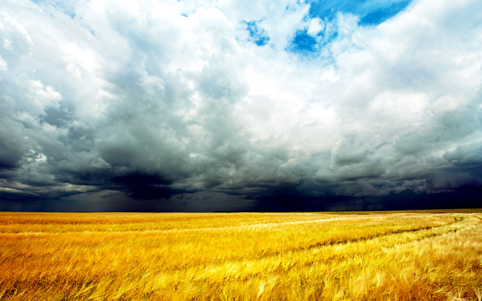 U.S. Withdrawal from Paris Accord Shirks Science, Neglects Devastating Impacts to Food System, Family Farms, and Future Generations U.S. Withdrawal from Paris Accord Shirks Science, Neglects Devastating Impacts to Food System, Family Farms, and Future Generations