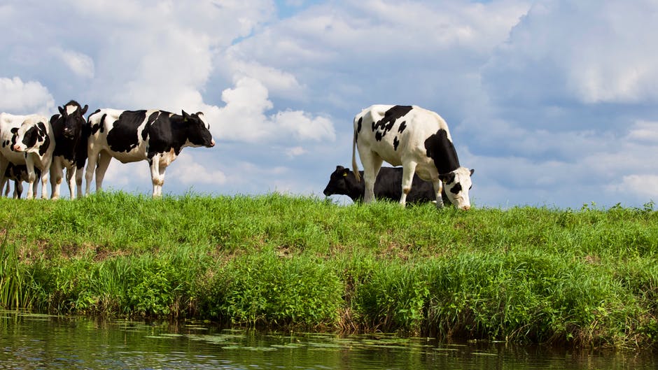 Rule Provides Clearer Definition of “Waters of the United States”