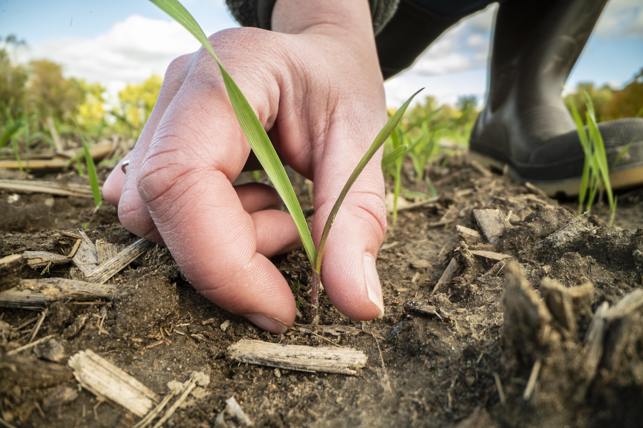 Growing Climate Solutions Act Improves Credibility of Carbon Markets, NFU Says Growing Climate Solutions Act Improves Credibility of Carbon Markets, NFU Says